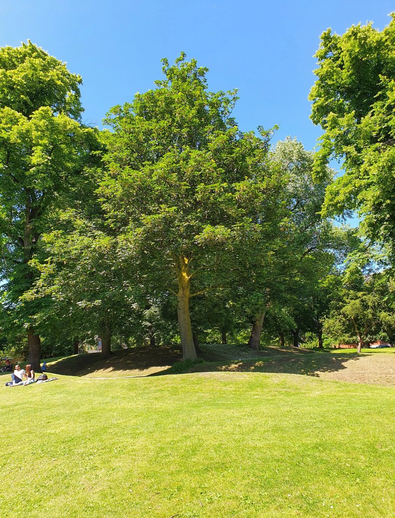 Lovell Park