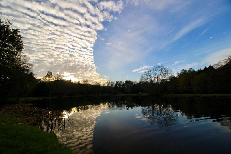 Blakewell