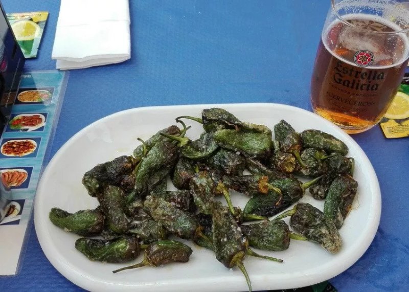 A Casa dos Congrios