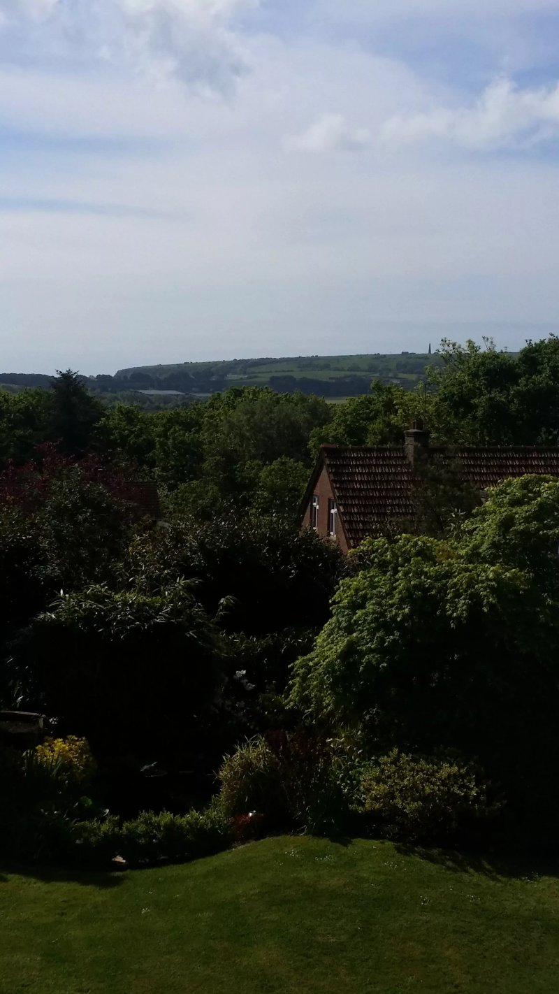 Culver View