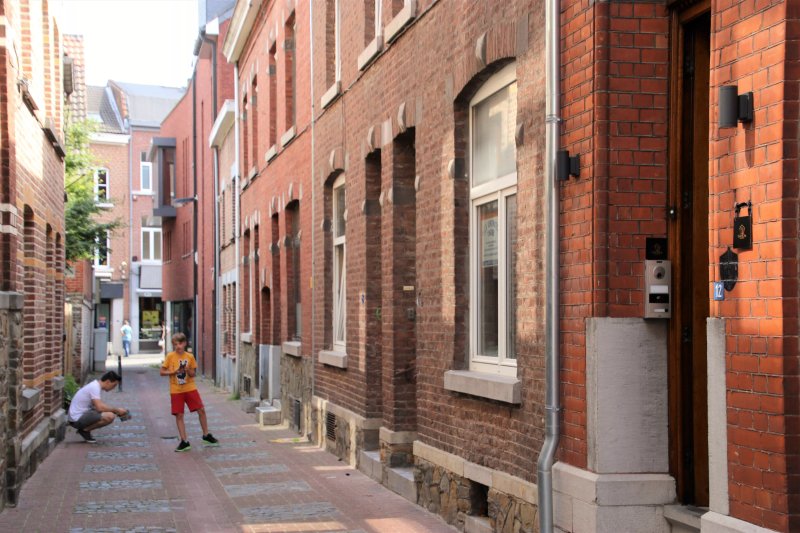 B&B Gaudium XII