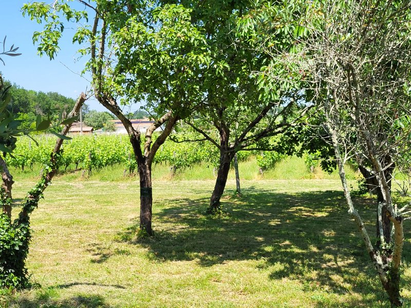 Domaine de Plisseau