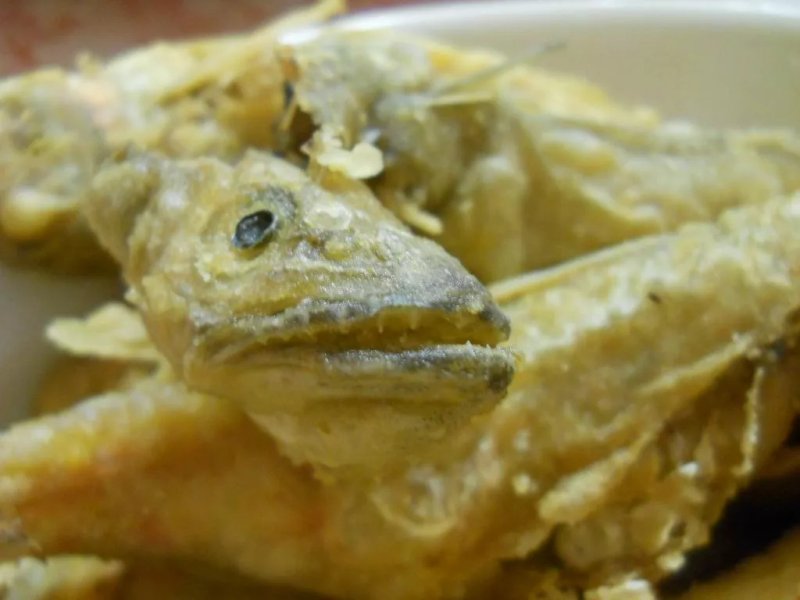 Trattoria da Fastidio - Livorno