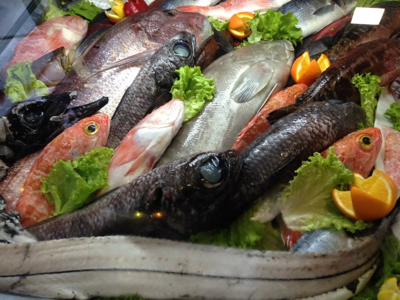 Lareira Portuguesa Marisqueira
