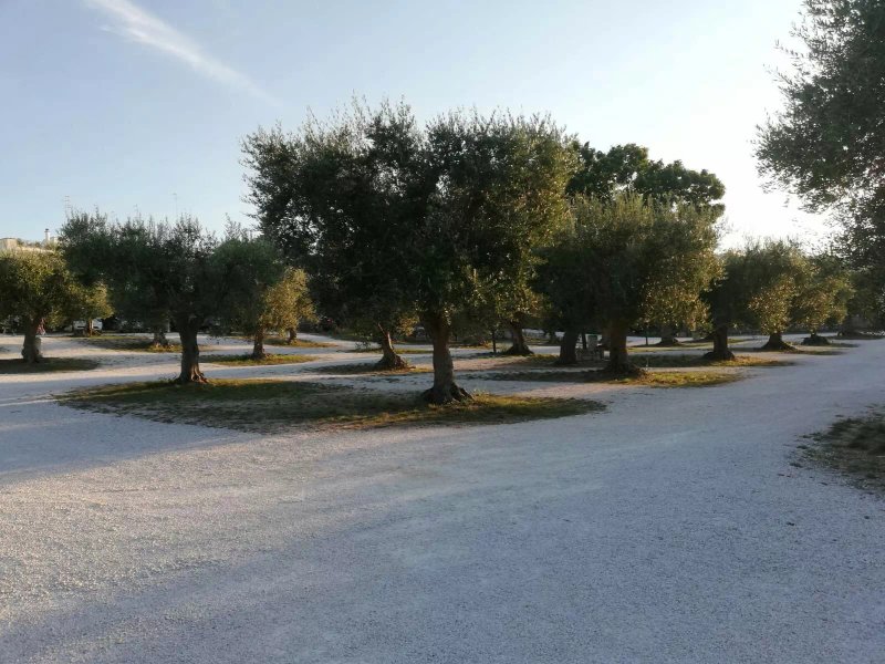 Area Sosta Camper nel Verde