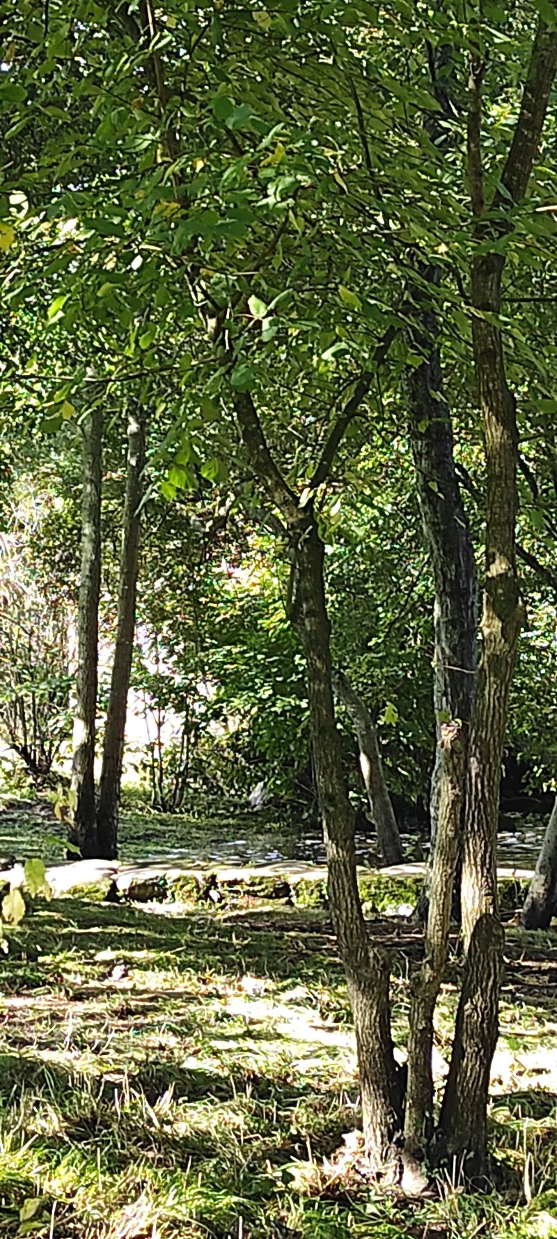 Le Moulin a Foulon