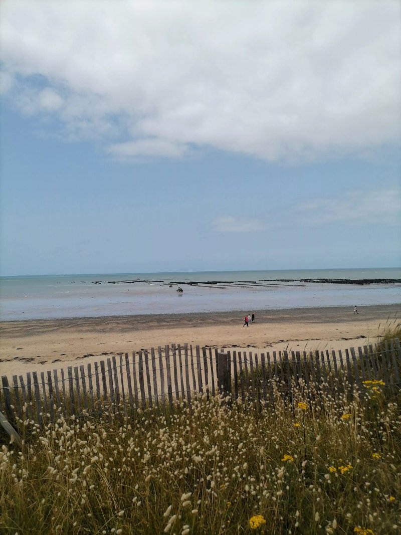 Le Bistrot De La Plage