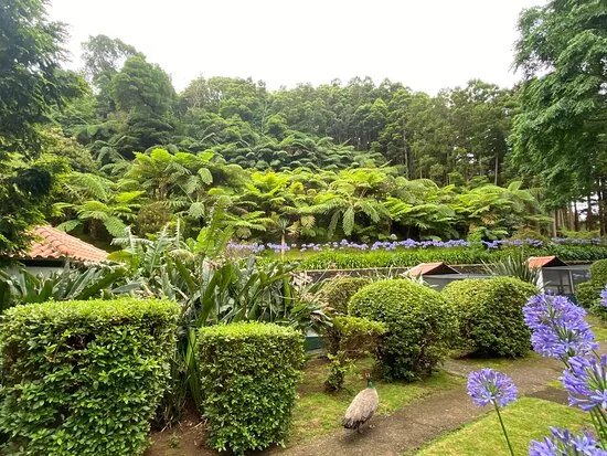 Reserva Florestal de Recreio Luis Paulo Camacho