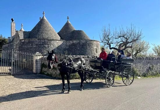 Majestic Horse Club Ride&dine