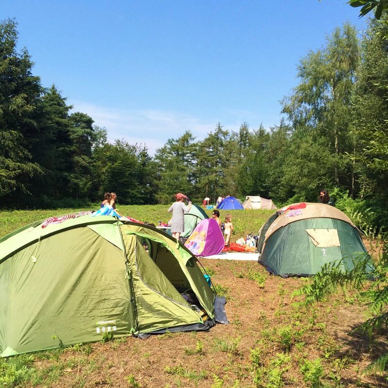 Beech Estate Campsite
