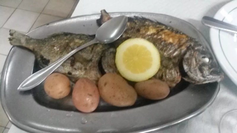 Peixaria Vitor Couto & Filhos