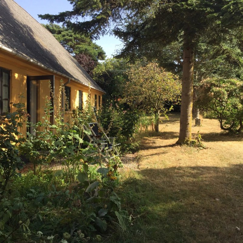 B&B Bojden Cottage