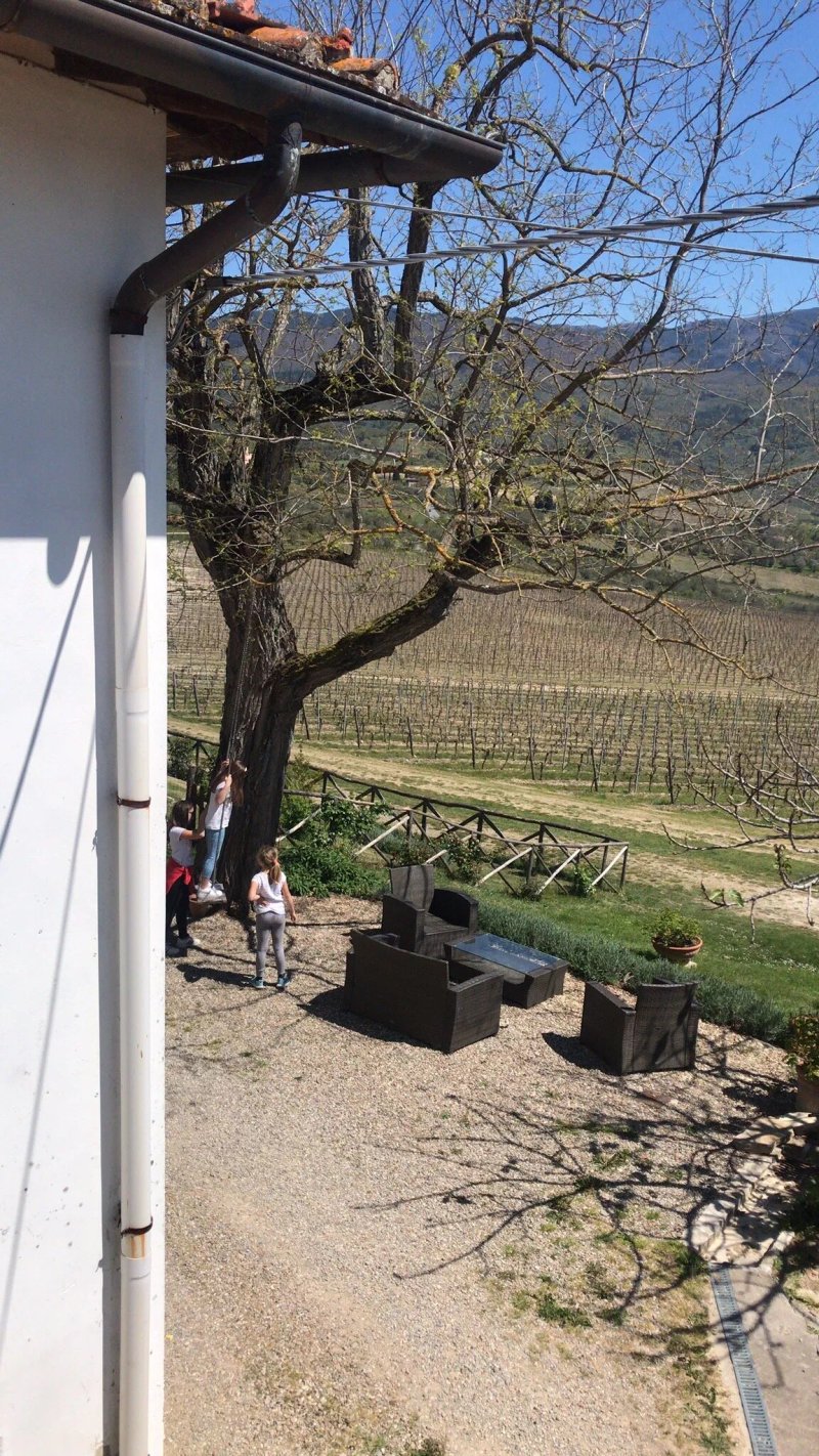 Azienda Agricola Il Poggiolino