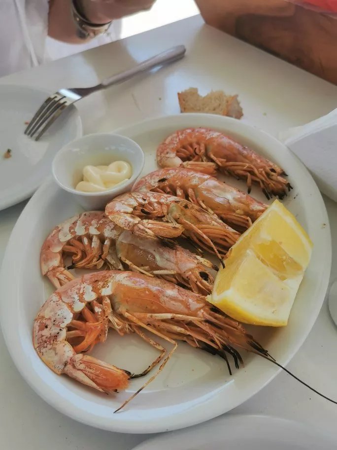Braxos Taverna
