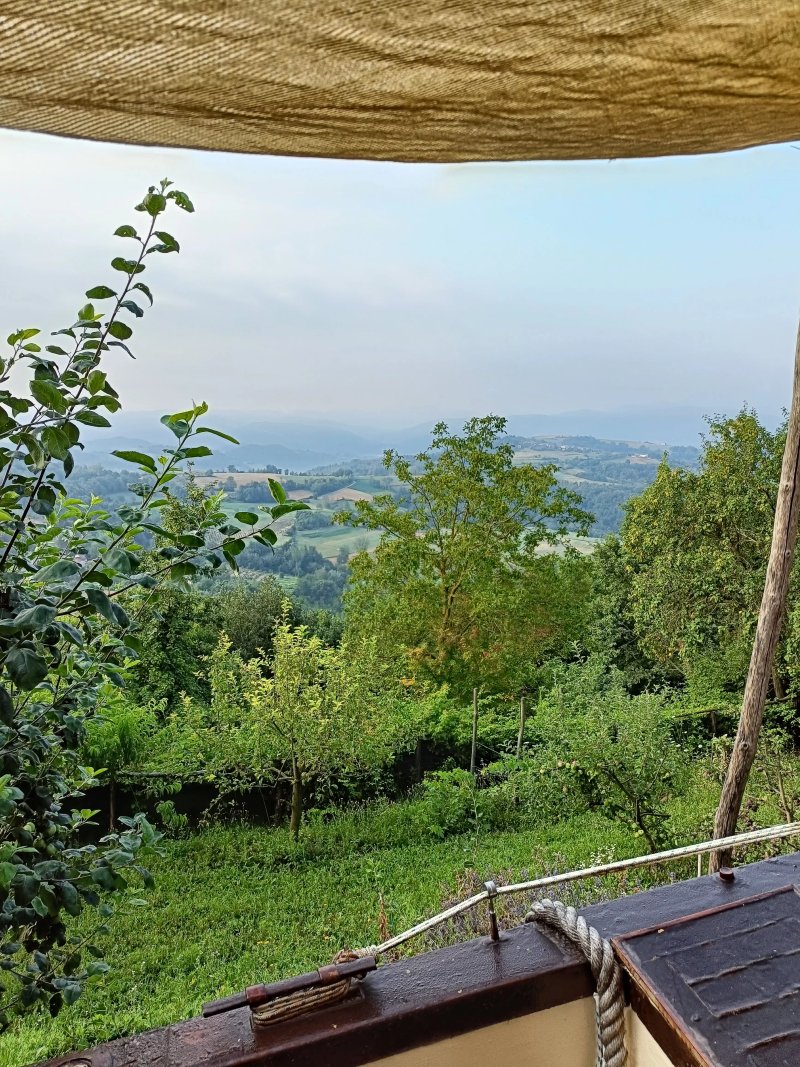 La Nave Nel Bosco