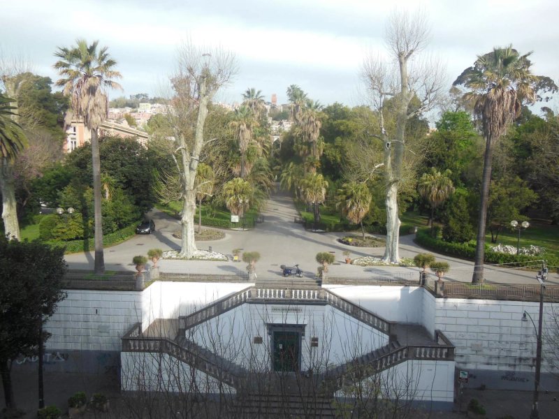 Botanica Gallery B&B