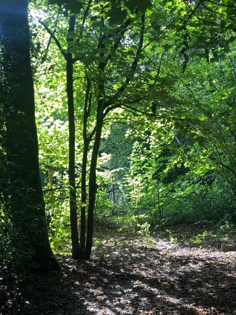 Hollington Park Glamping