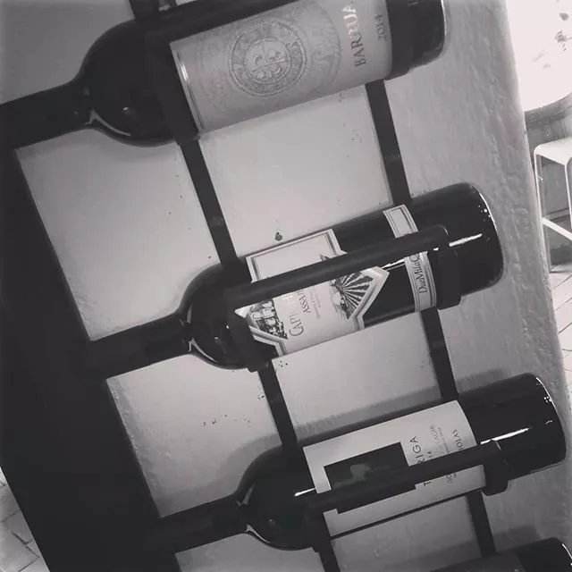 Il vigneto di Bacco