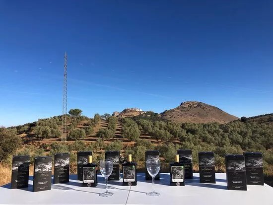 FINCA LA TORTAITA