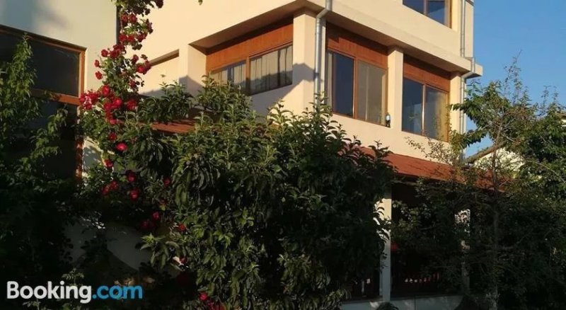 Yoana Tsvetelina Hotel