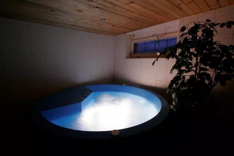 Hotel Pod Sokolim