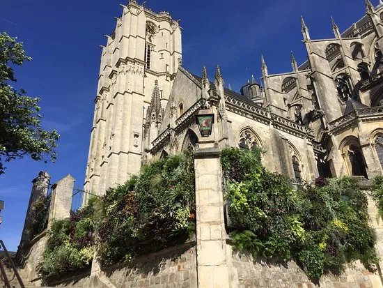 Entre Cours et Jardins - Cite Plantagenet