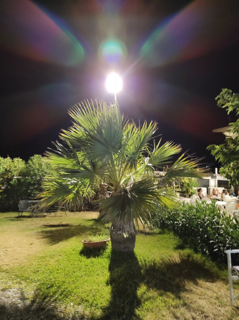 Santa Fe Beach Club & Restaurant