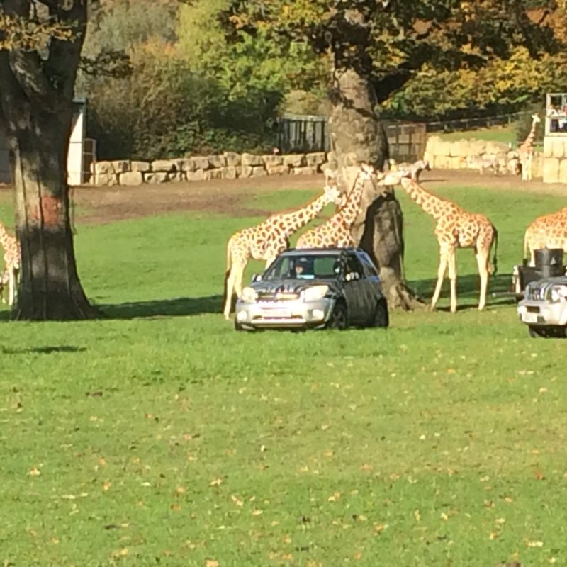Longleat Caravan and Motorhome Club Campsite