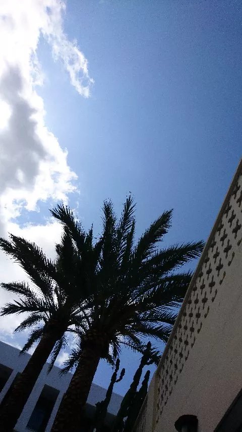 Apartamentos Jovial