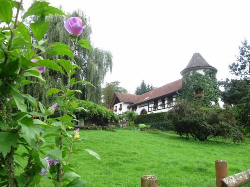 Domaine d'Estary
