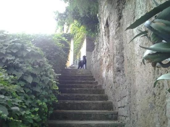 Agriturismo Bed and Breakfast Tana dei Lupi