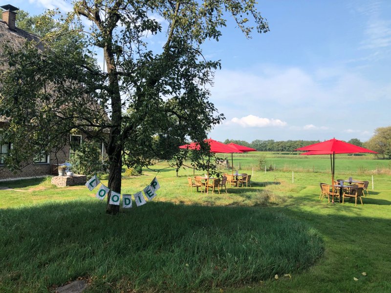Theetuin En B&b Loodiep