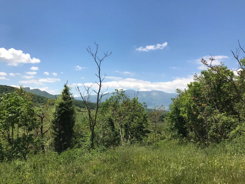 Agriturismo Il Mulino