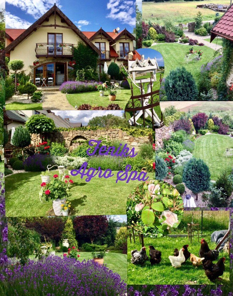 Feniks Agro & Spa