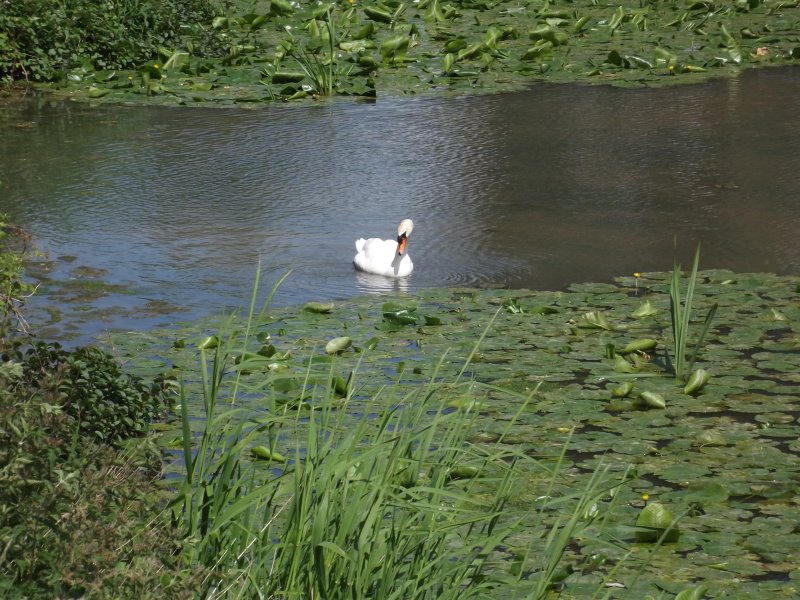 Abbot's Salford Holiday Park