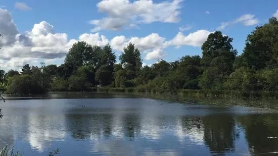 Kilmardinny Loch