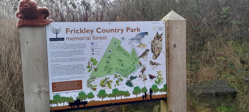 Frickley Country Park
