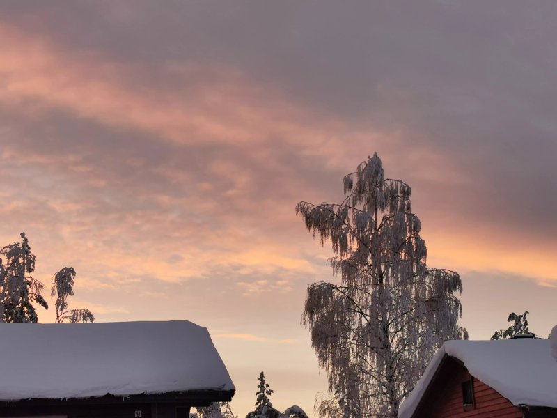Aavasaksa Aurinkomajat