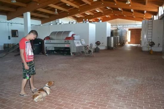 Tenuta Colli Verdi