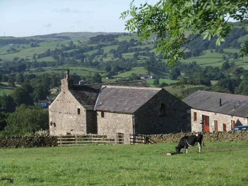 Ash Hining Farm
