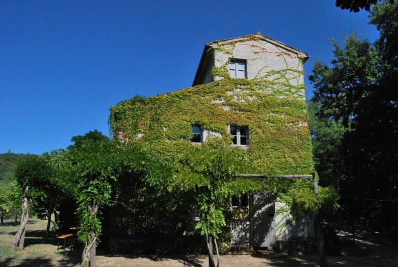 Borgo Cardaneto