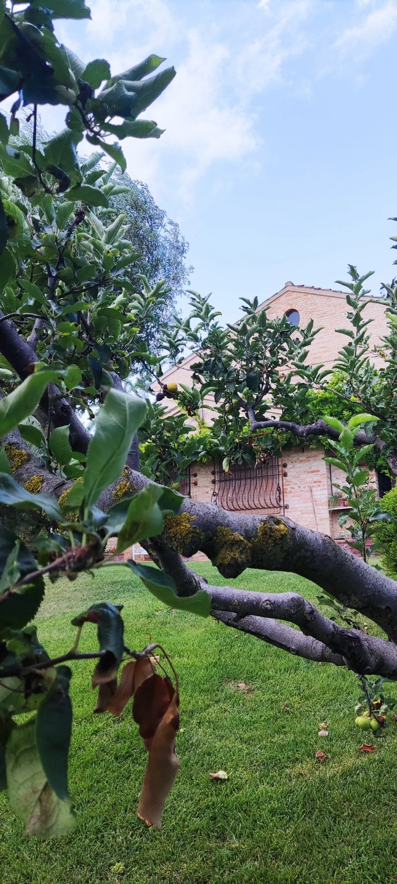 Villa Rondanella