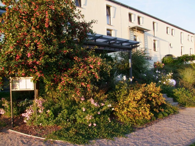 Hotel Moritz An Der Elbe