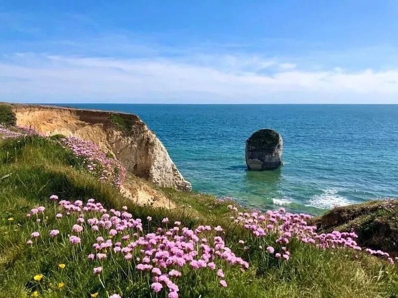 Breathtaking Ocean Views,  Luxury Beachside Apartment, Freshwater Bay -  AONB