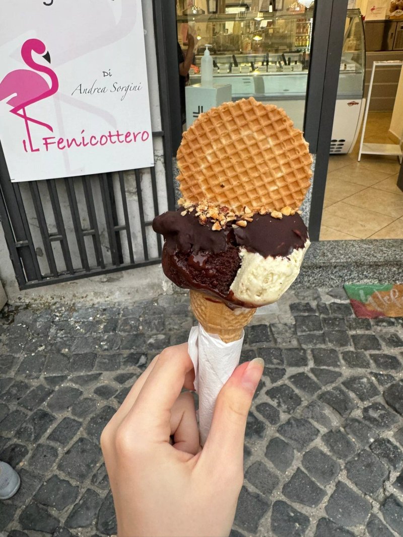 Gelateria Il Fenicottero