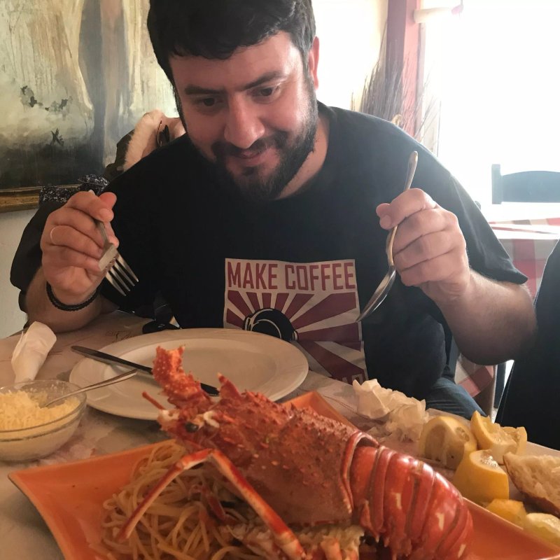 Delfini