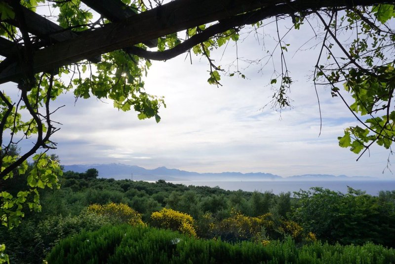 Naturist Fig Leaf Villas