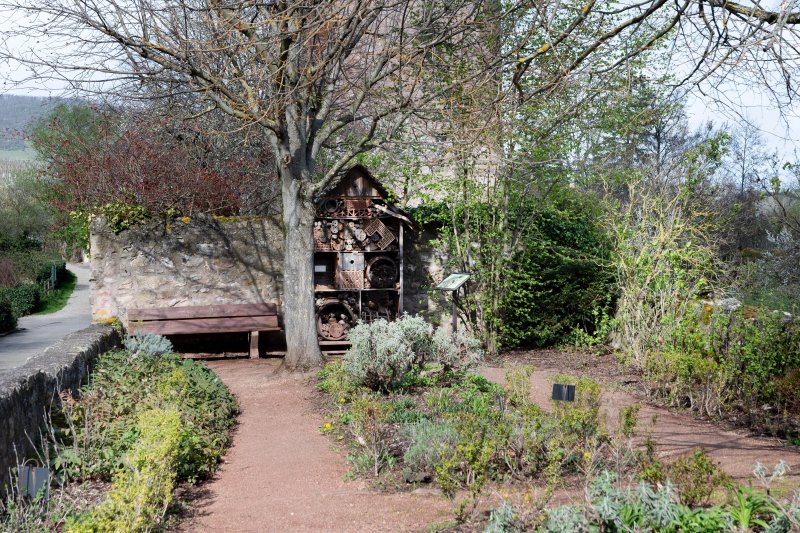 Jardin D'aneth