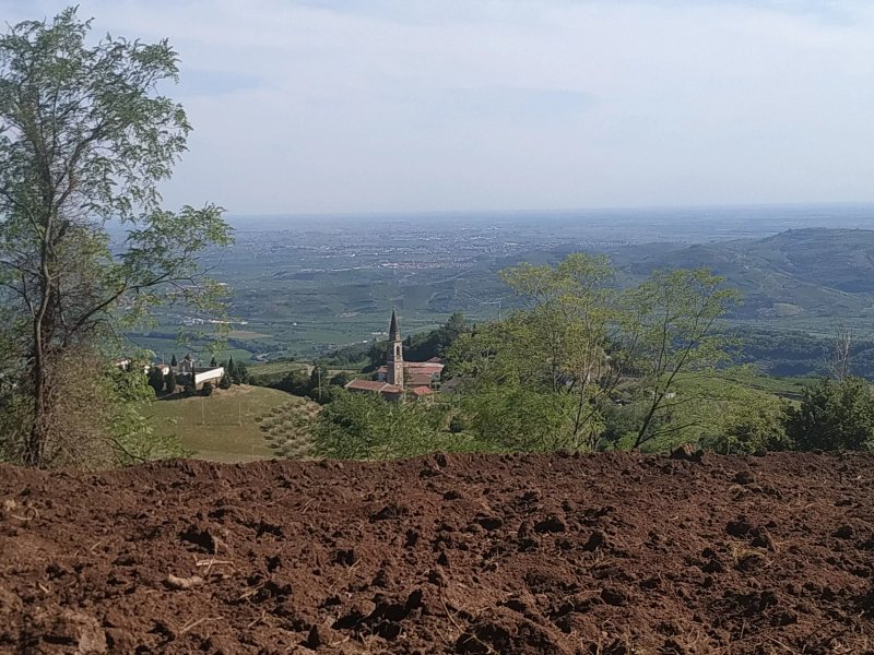 Tavola Veneta