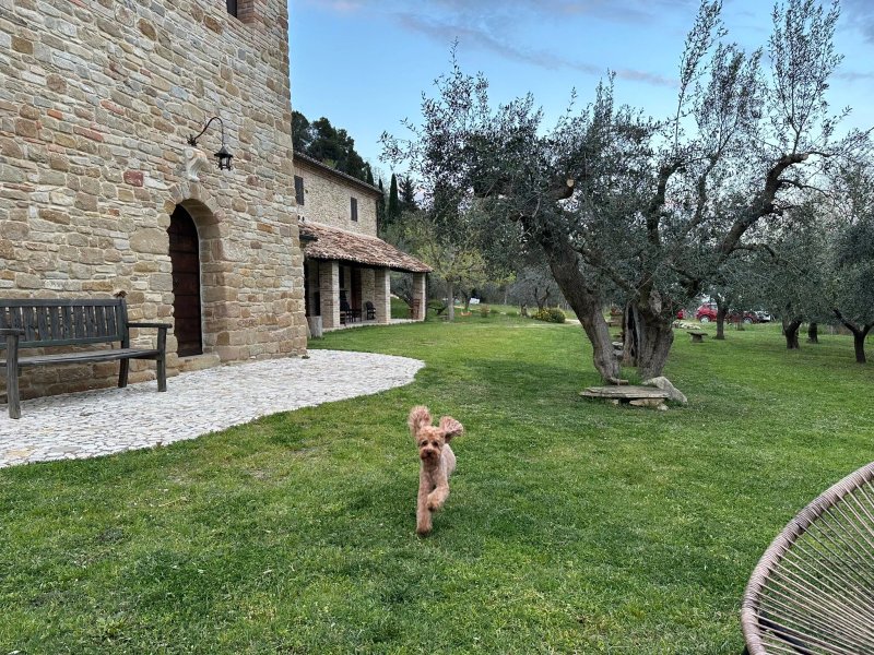 Pietra Antica Agriturismo